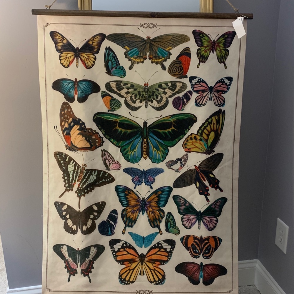 Butterfly Canvas Print